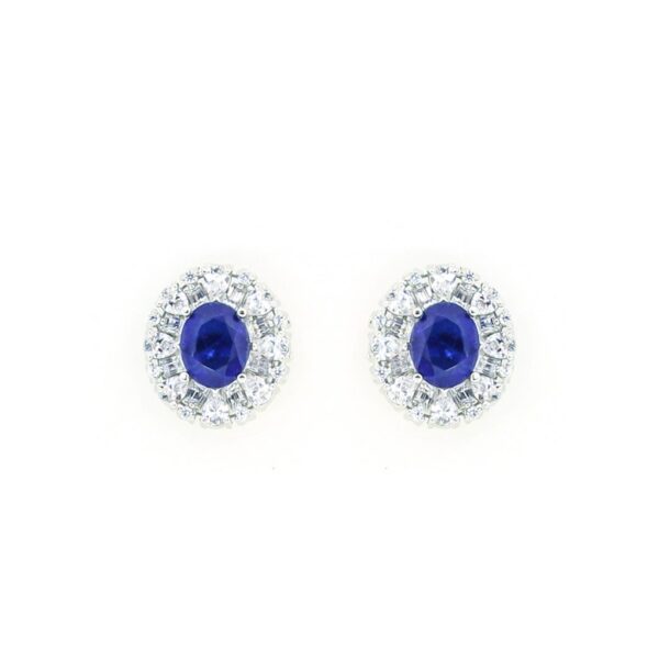 varam_earrings_dark_blue_and_white_stone_earrings