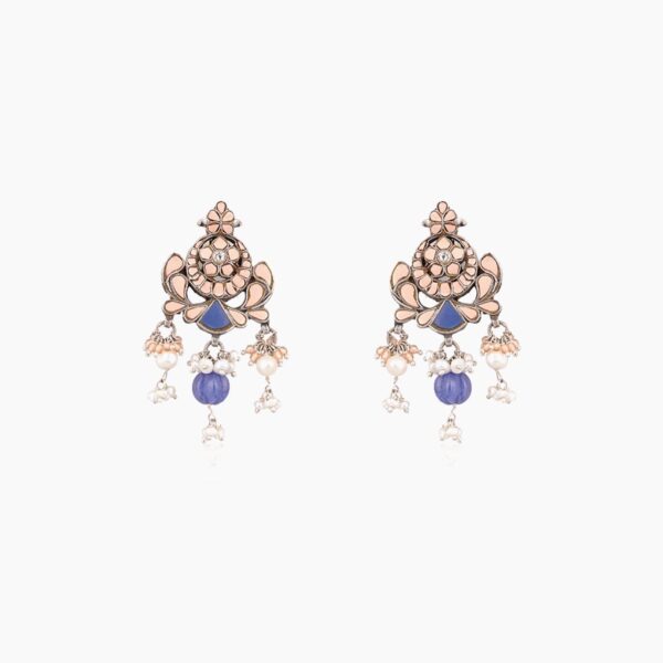 varam_earrings_half_white_and_blue_stone_oxidised_silver_earrings-1