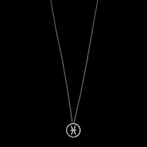 Silver with pieces zodiac sign pendent Swarovski chain